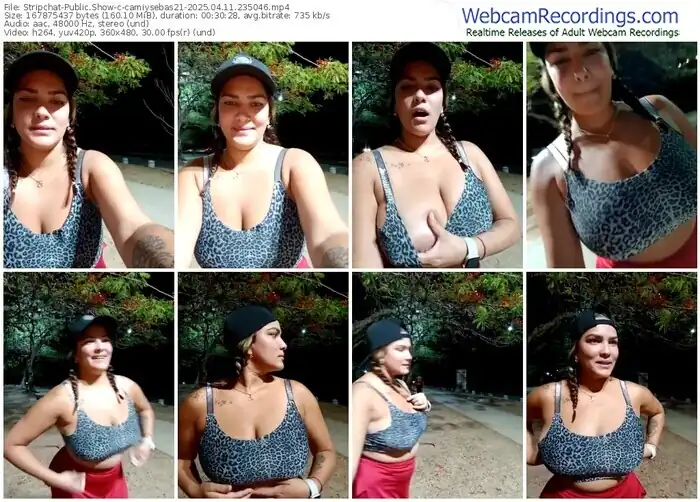 stripchat-camiysebas21-04-11-2025-23-50-46