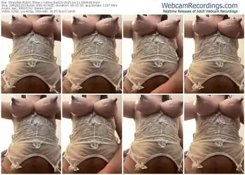 stripchat-celine_bell20-04-11-2025-08-09-48