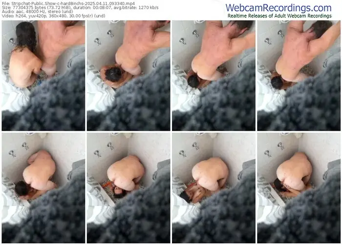 stripchat-hard8inchs-04-11-2025-09-33-40