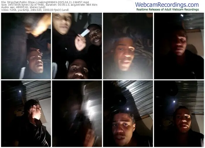 stripchat-joeking369963-04-11-2025-19-44-57