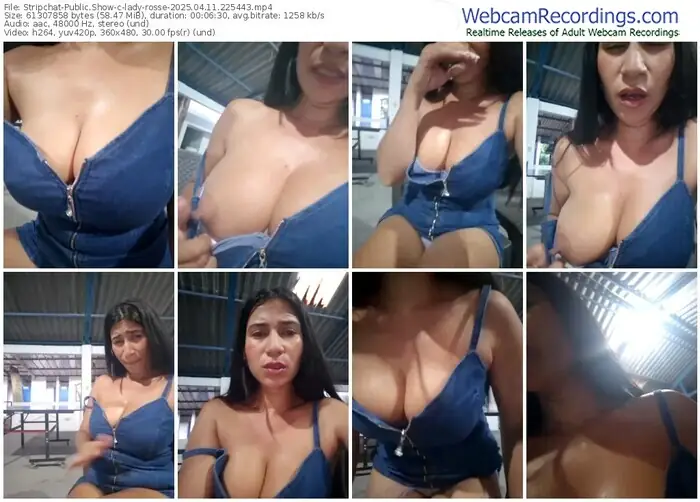 stripchat-lady-rosse-04-11-2025-22-54-43