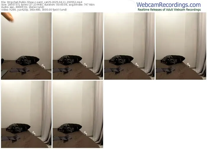 stripchat-saint_cat25-04-11-2025-23-05-52