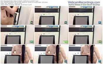 stripchat--miami--04-11-2025-01-41-57