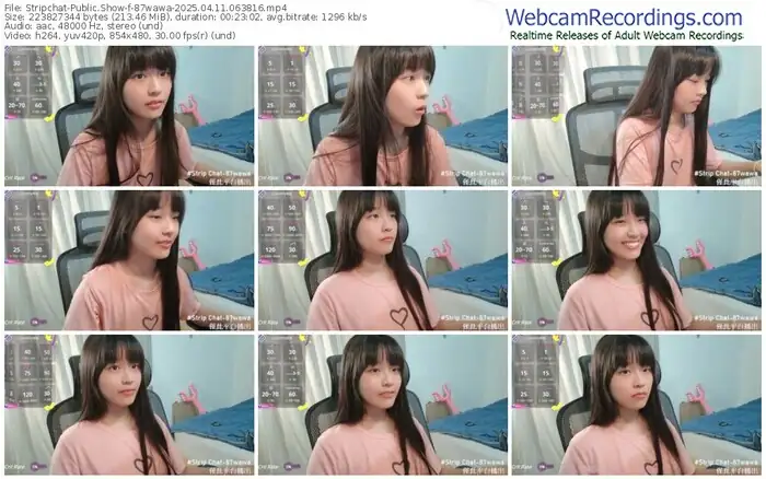 stripchat-87wawa-04-11-2025-06-38-16