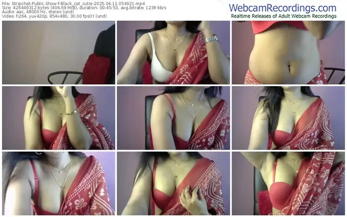 stripchat-black_cat_cutie-04-11-2025-05-49-21