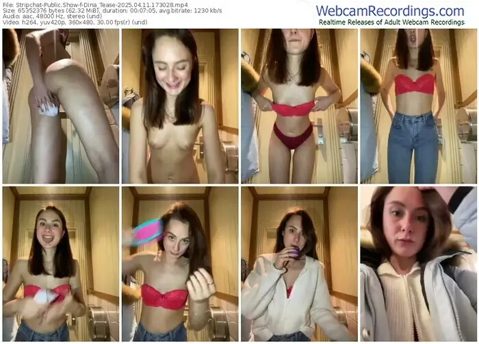 stripchat-dina_tease-04-11-2025-17-30-28