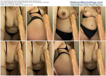 stripchat-dinaaa00-04-11-2025-00-49-19