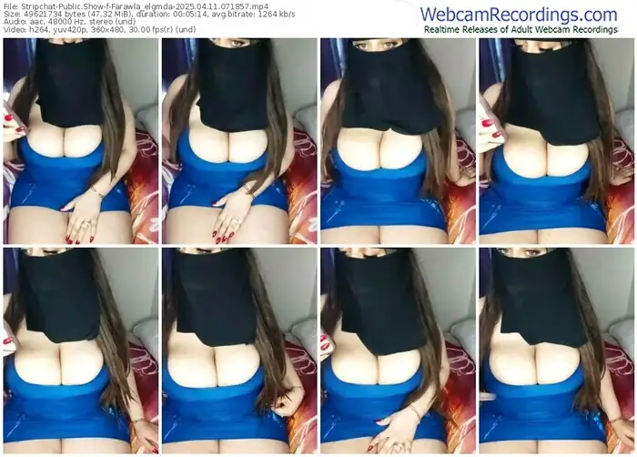 stripchat-farawla_elgmda-04-11-2025-07-18-57