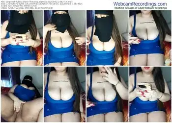stripchat-farawla_elgmda-04-11-2025-08-27-14
