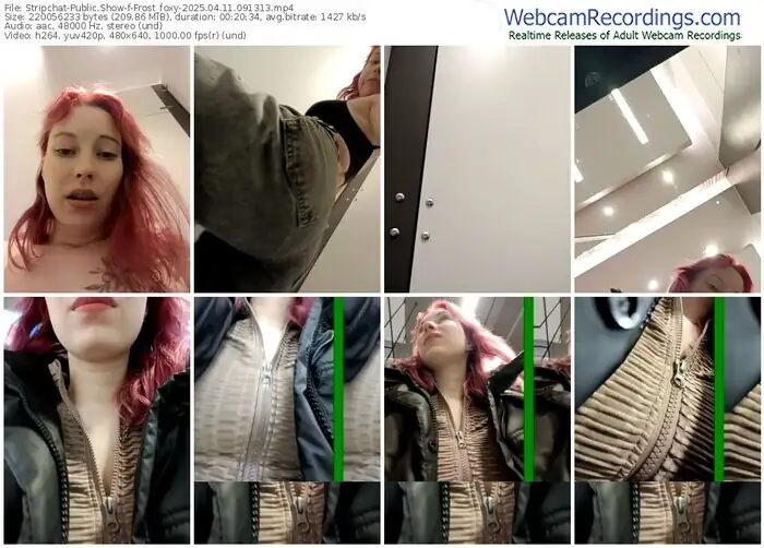 stripchat-frost_foxy-04-11-2025-09-13-13