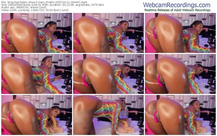 stripchat-gavii_prietto-04-11-2025-06-44-07