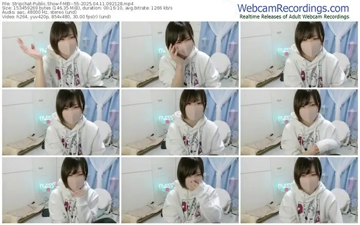 stripchat-mei--55-04-11-2025-09-21-28
