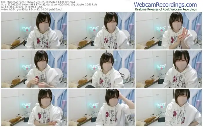 stripchat-mei--55-04-11-2025-10-17-25