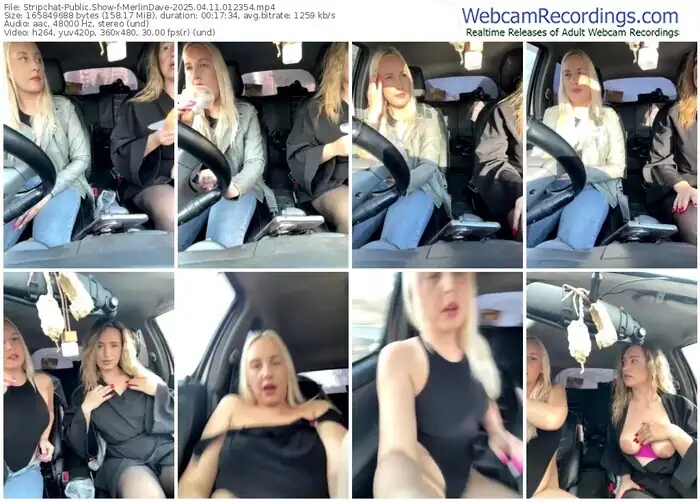 stripchat-merlindave-04-11-2025-01-23-54