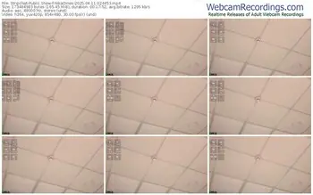 stripchat-nikadines-04-11-2025-02-44-53