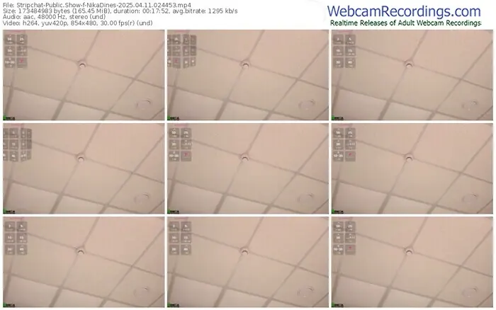 stripchat-nikadines-04-11-2025-02-44-53