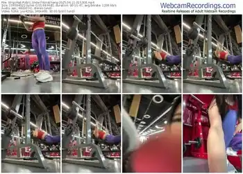 stripchat-ninazhang-04-11-2025-01-53-08