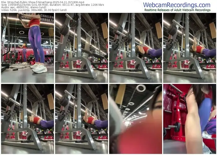 stripchat-ninazhang-04-11-2025-01-53-08