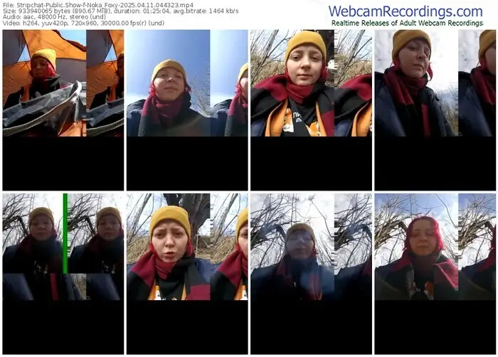 stripchat-noka_foxy-04-11-2025-04-43-23