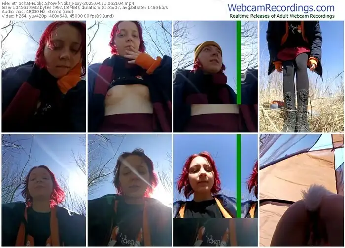 stripchat-noka_foxy-04-11-2025-06-21-04