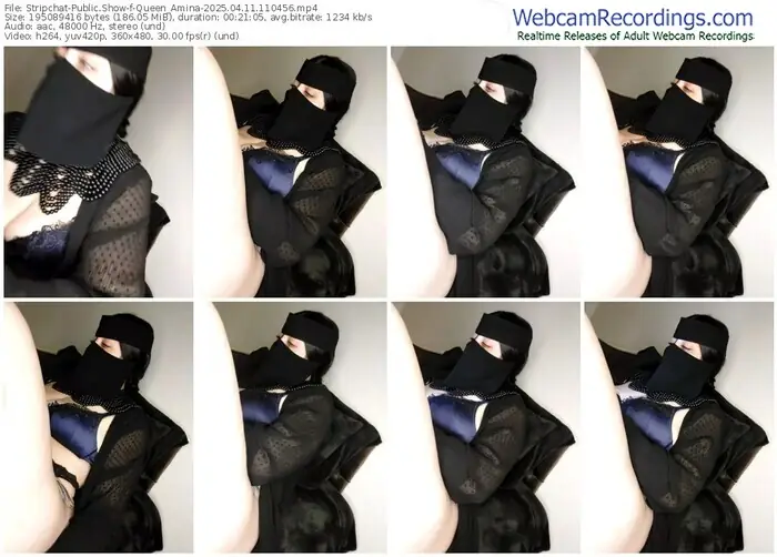 stripchat-queen_amina-04-11-2025-11-04-56