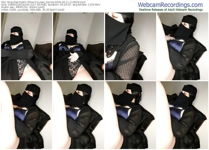 stripchat-queen_amina-04-11-2025-11-06-00
