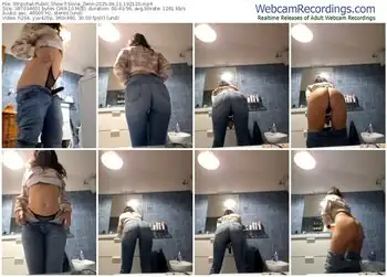 stripchat-silvia_zeno-04-11-2025-19-21-20