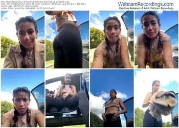 stripchat-valerievan-04-11-2025-20-28-48