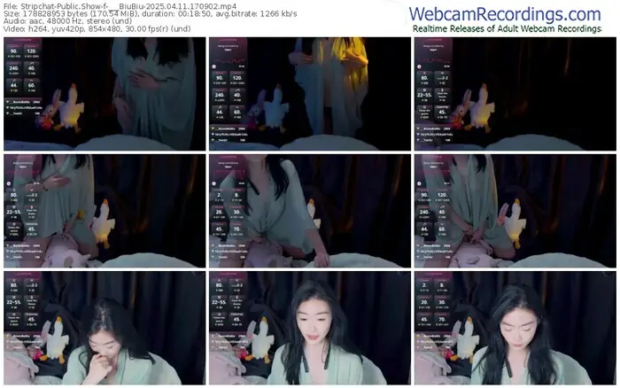 stripchat-___biubiu-04-11-2025-17-09-02