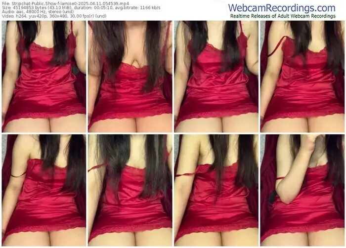 stripchat-lamise0-04-11-2025-05-45-39