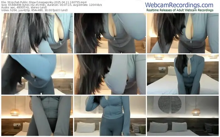 stripchat-meowpinky-04-11-2025-16-07-55