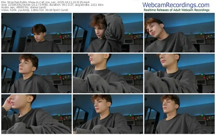 stripchat-call_me_leo_-04-11-2025-01-21-35