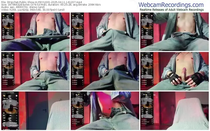 stripchat-feiyu001-04-11-2025-14-12-07