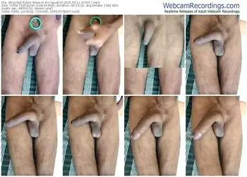 stripchat-mrcasual25-04-11-2025-07-00-17