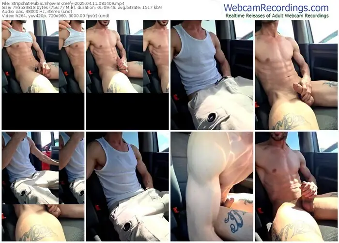 stripchat-zeefy-04-11-2025-08-14-09