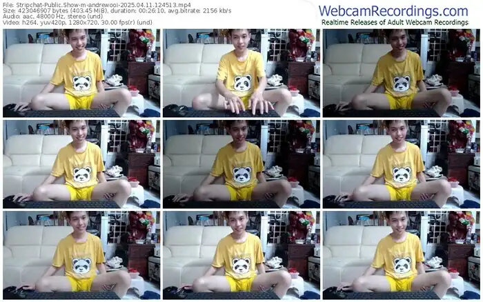 stripchat-andrewooi-04-11-2025-12-45-13