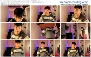 stripchat-your_lovely_david-04-11-2025-22-05-50