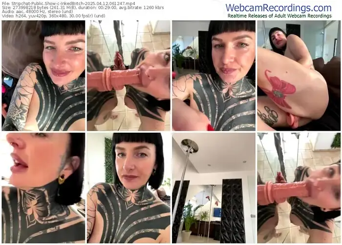 stripchat-inkedbiitch-04-12-2025-06-12-47