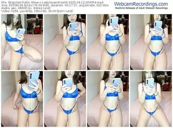 stripchat-ladyswamikiss04-04-12-2025-00-43-54