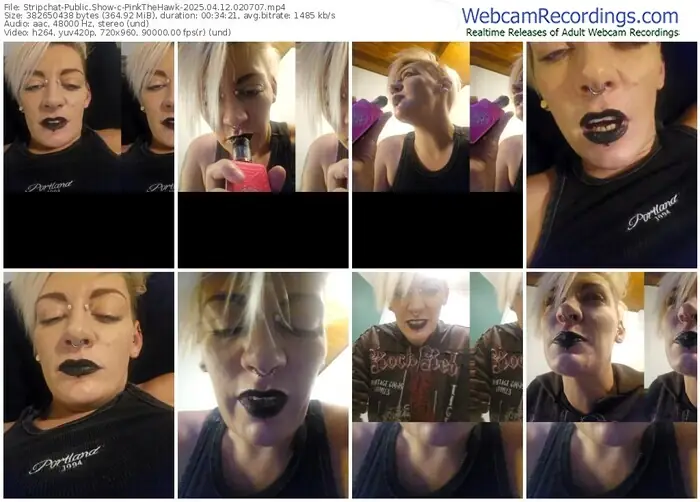 stripchat-pinkthehawk-04-12-2025-02-07-07
