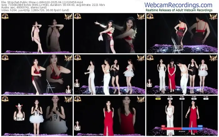 stripchat-xmh100-04-12-2025-02-04-59