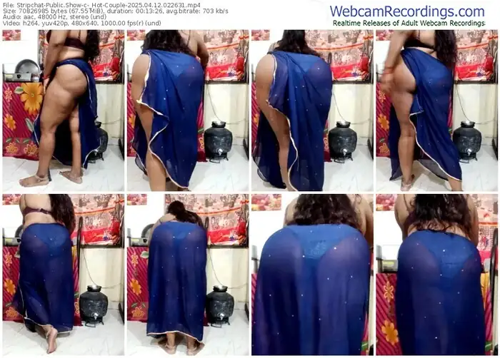 stripchat-_hot-couple-04-12-2025-02-26-31