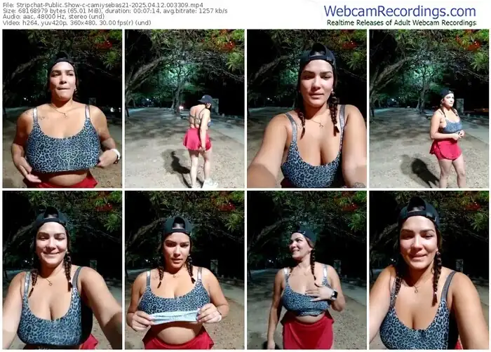 stripchat-camiysebas21-04-12-2025-00-33-09