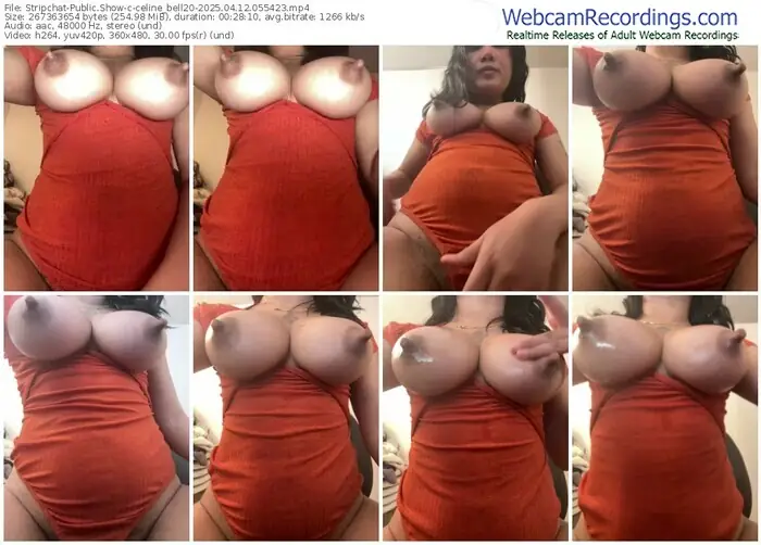 stripchat-celine_bell20-04-12-2025-05-54-23