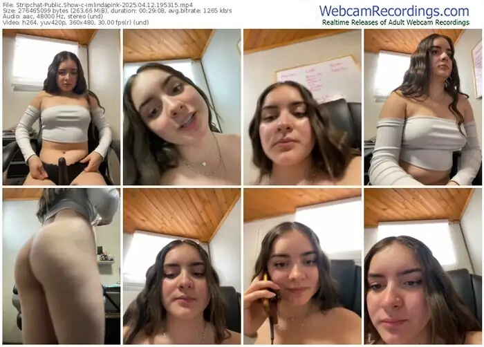 stripchat-imlindapink-04-12-2025-19-53-15
