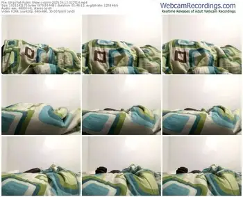 stripchat-ojoro-04-12-2025-02-25-14