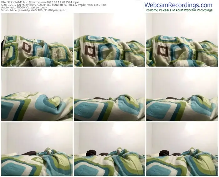 stripchat-ojoro-04-12-2025-02-25-14