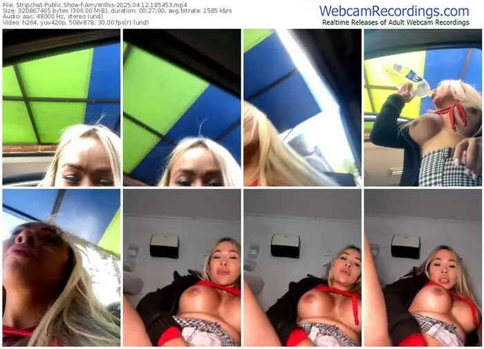 stripchat-amywillss-04-12-2025-18-54-53