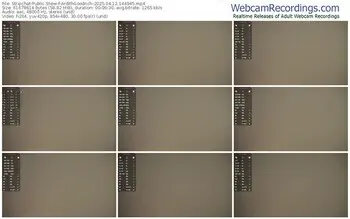 stripchat-ardithgoodrich-04-12-2025-14-49-45