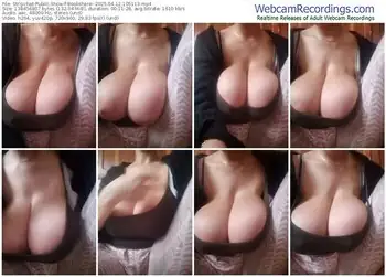 stripchat-boobshere--04-12-2025-10-51-13